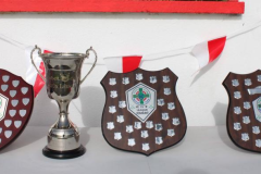 Winning-Trophies
