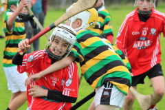 Watergrasshill-U12s-win-inaugural-Mon-AG-Tournament-03