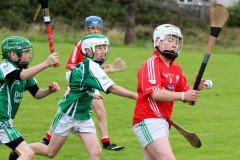 Watergrasshill-U12s-win-inaugural-Mon-AG-Tournament-06