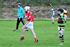 Watergrasshill-U12s-win-inaugural-Mon-AG-Tournament-07