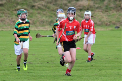 Watergrasshill-U12s-win-inaugural-Mon-AG-Tournament-11