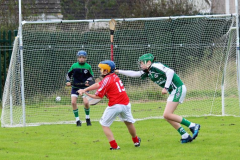 Watergrasshill-U12s-win-inaugural-Mon-AG-Tournament-13
