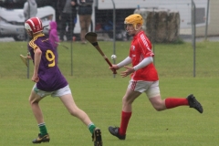 Feile-2019-35