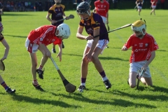Under-14-County-Champions-03