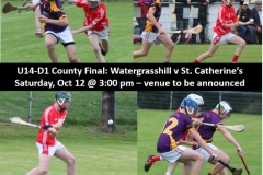 Under-14-County-Champions-21