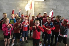 Under-8s-Outing-Gaelic-Grounds-Cork-V-Limerick-19-05-19-04