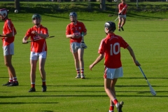 Minors-2020-16