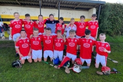U12-Hurling