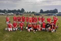 Under-9-Hurlers