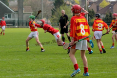 Feile 2014