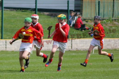 Feile-B-Hurling-Final-02