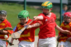 Feile-B