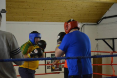 Fight-Night-11