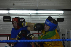 Fight-Night-12