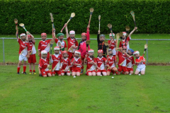 GAA-Cul-Camp-2014-06