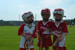 GAA-Cul-Camp-2014-14