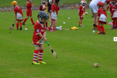GAA-Cul-Camp-2014-24