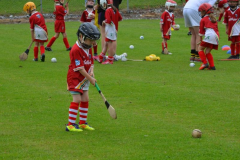 GAA-Cul-Camp-2014-26