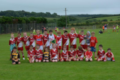 GAA-Cul-Camp-2014-31