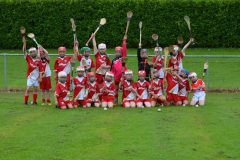 GAA-Cul-Camp-2014-34