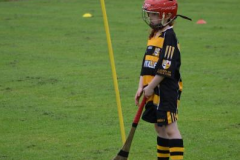 GAA-Cul-Camp-2014-35