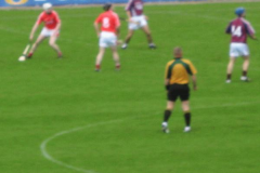 Mossy-Barry-in-action