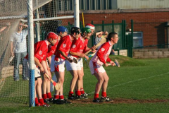 Hill-V-Carrigtwohill-2006-Championship-9