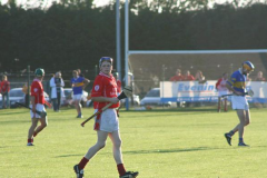 Hill-V-Carrigtwohill-2006-Championship