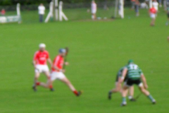 Sean-OLeary-and-James-Barry