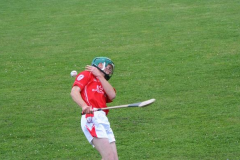Hill-V-Youghal-2007-Champo-5
