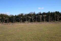 Left-hand-sideline-ready-for-new-fencing