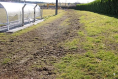 Right-hand-sideline-for-new-fencing