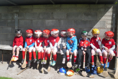 Under-6-Blitz-Lisgoold