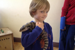 Juvenile-Animal-Day-Out-2015-08