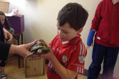 Juvenile-Animal-Day-Out-2015-10