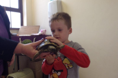 Juvenile-Animal-Day-Out-2015-11