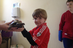 Juvenile-Animal-Day-Out-2015-12