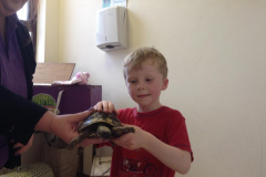 Juvenile-Animal-Day-Out-2015-13