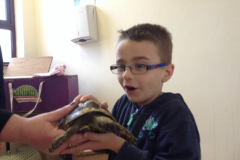 Juvenile-Animal-Day-Out-2015-14