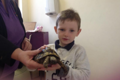 Juvenile-Animal-Day-Out-2015-16