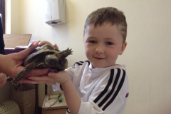 Juvenile-Animal-Day-Out-2015-17
