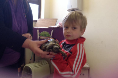 Juvenile-Animal-Day-Out-2015-19