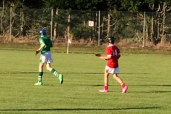 Under-11-WGH-V-Killeagh-26-7-14-02