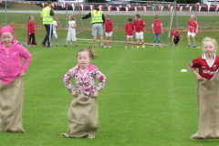Watergrasshill-FUN-Day-2015-30