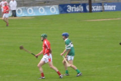WGH-V-Aghabollogue-2009-4